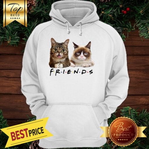 hoodie Unique pattern brings a cheerful and warm atmosphere, Cats Friends Bub Grumpy HOODIE