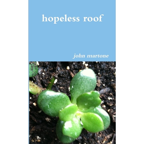 hopeless roof (Paperback)
