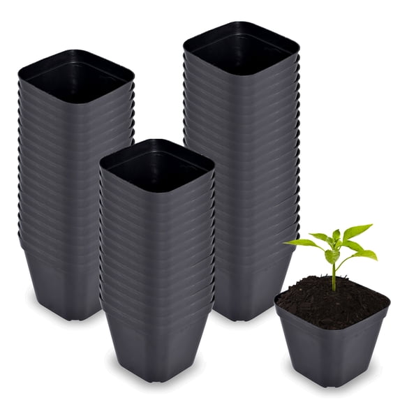 hostic 100 PCS Square Seedling Pots Nursery Pots Plastic Pot for Plant Suitable for Indoor and Outdoor Seedling Raising and Planting