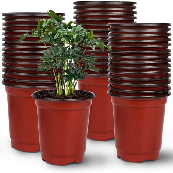 hostic 8.0" Seedling Pots Plastic Plant Pots Seedling Cups Nursery Pots Plant Container Fit for Seeds Germination, Seedlings Growing, Succulents Planting, Seeds Starting 100 Pcs