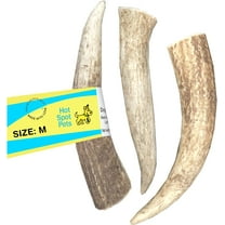 hotspot pets Antlers for Dogs, Naturally Shed Elk Antlers, All Natural Elk Antler Dog Chew Rawhide Alternative Made in USA - for Aggressive Chewers (Medium)