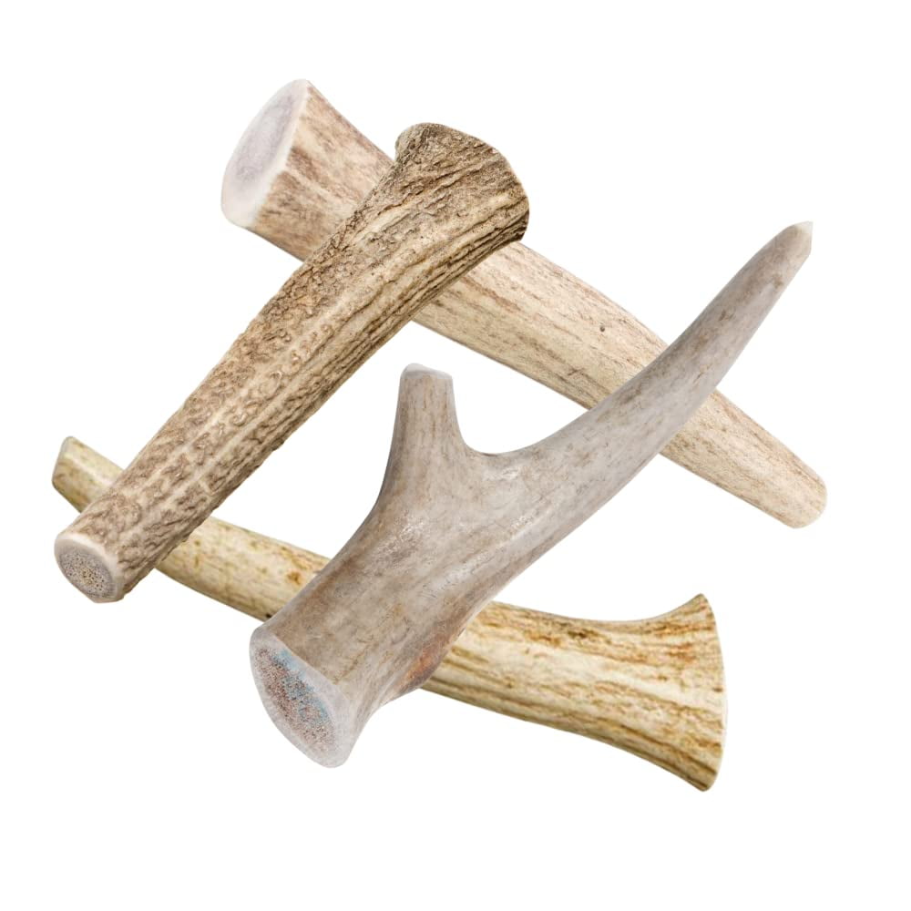 hotspot pets Deer Antlers AIF4 for Dogs 7+ Inch Dog Antler Chews