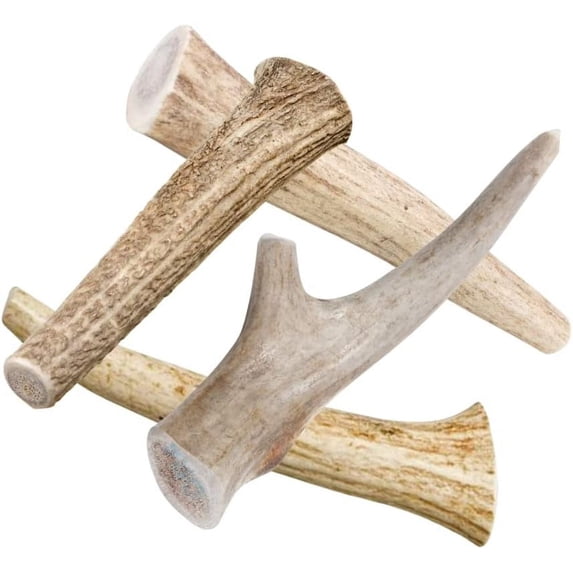 HotSpot Pets Deer Antlers for Dogs - Large Naturally Shed Antler Chews, Promotes Dental Hygiene, Made in USA