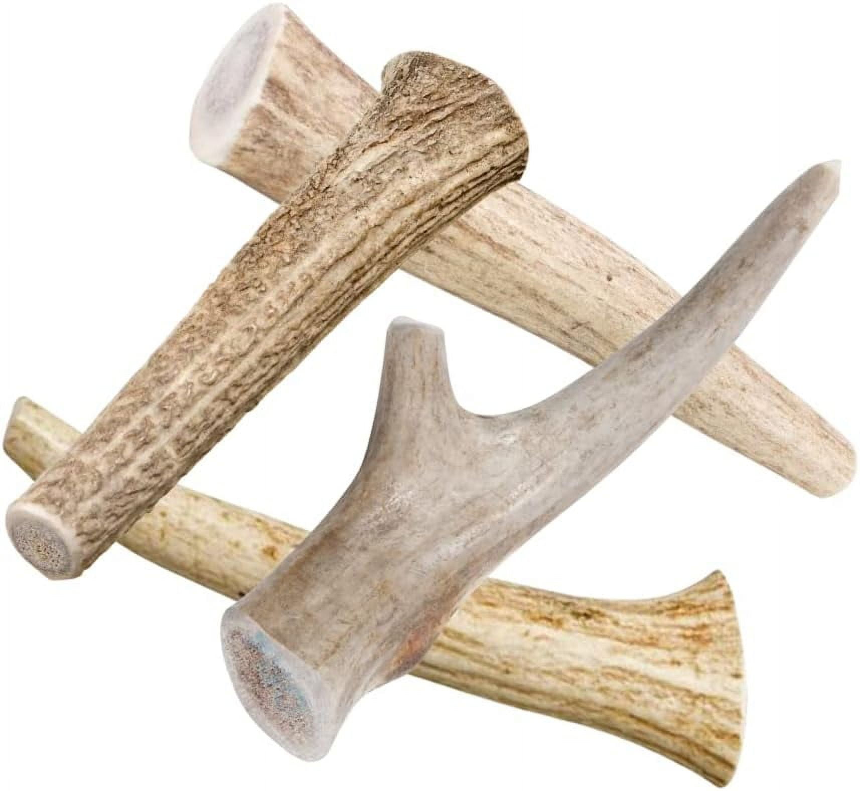Naturally shed deer antlers for dogs deals