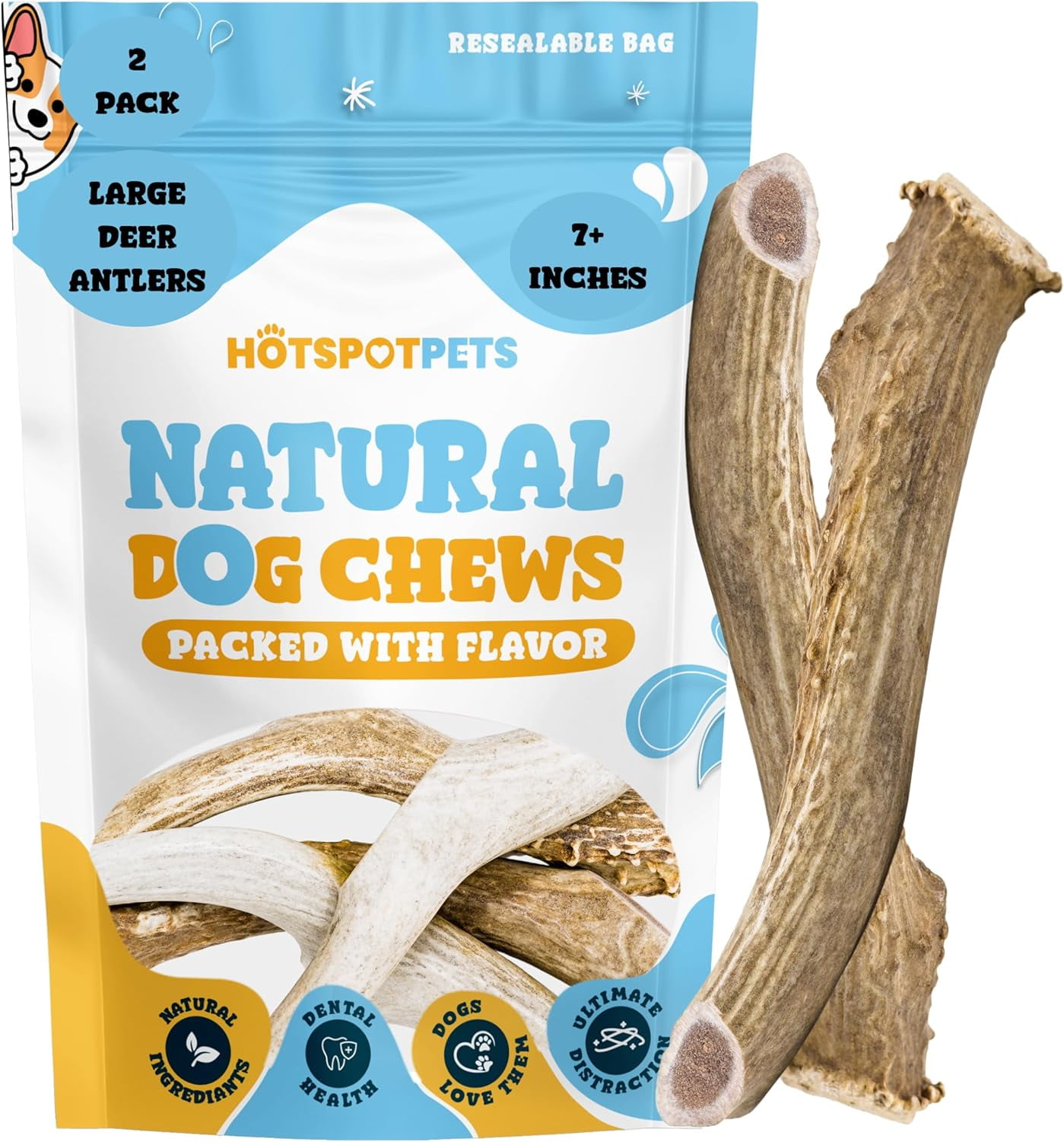 HotSpot Pets Premium Elk Horn Antlers Dog Chews, Odorless Rawhide Marrow, 7+ Inch Large, 2 Pack