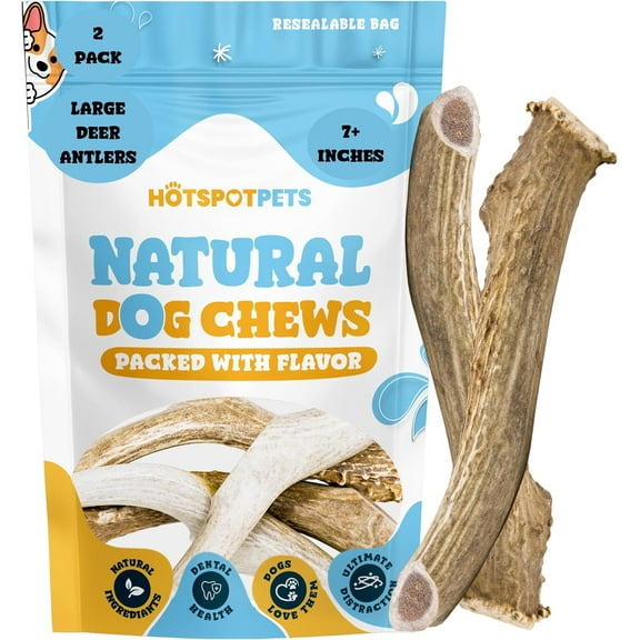 HotSpot Pets Premium Elk Horn Antlers Dog Chews, Odorless Rawhide Marrow, 7+ Inch Large, 2 Pack