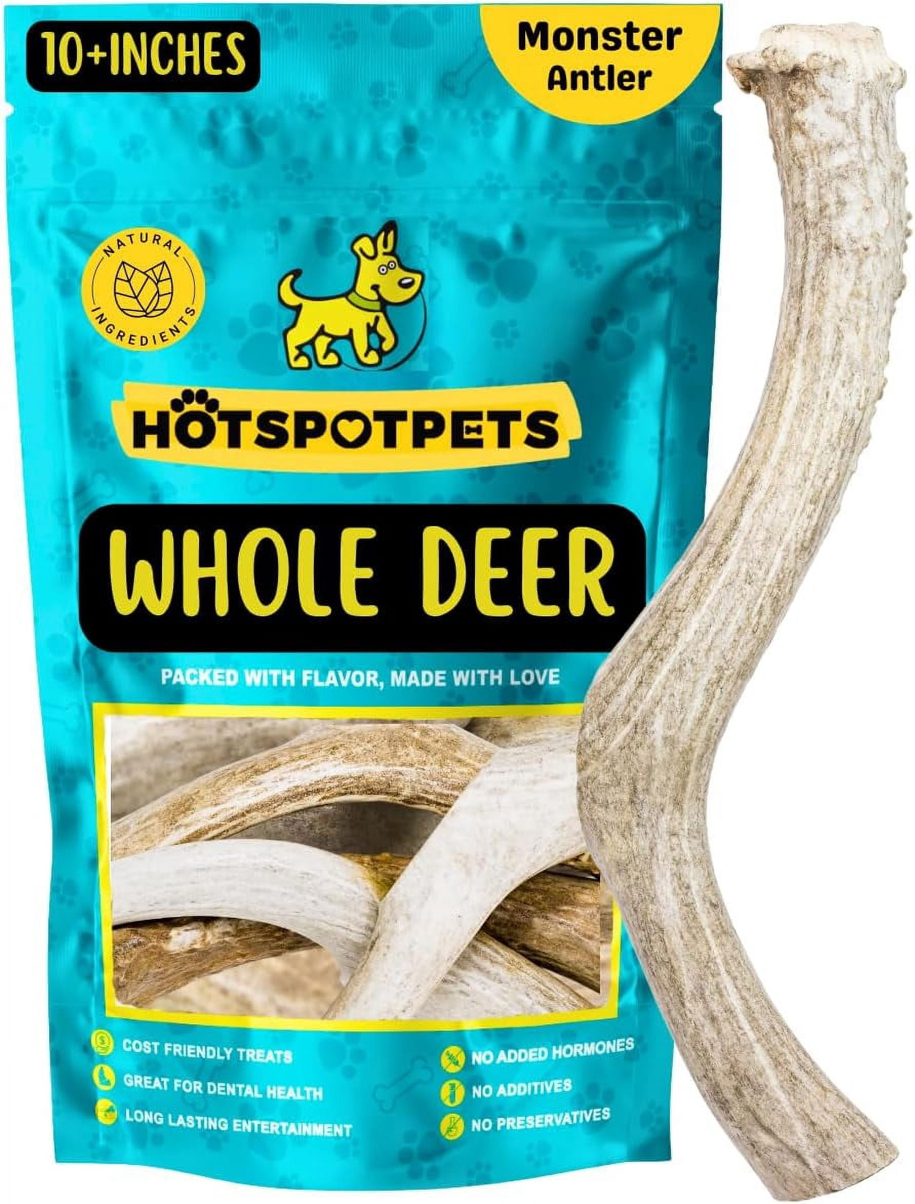 Medium Split Deer Antler Dog Chews - Naturally Shed, USA Gathered, Long-Lasting & Healthy Chew For Dogs