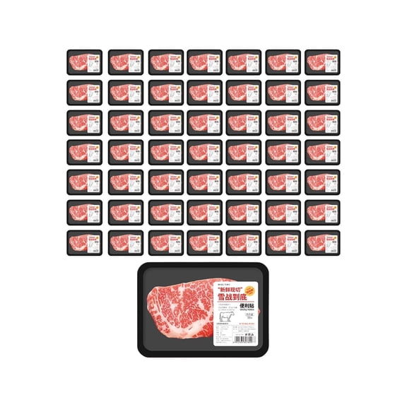 huayou Simulation Raw Salmon Shaped Self-Adhesive Note Pad, Realistic Food Design Sticky Notes for Planner Page Marking， Office Daily Message Reminder