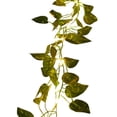 thumbnail image 1 of hulanddfd Flower Garland with Lights, Green vine Leaf Rattan with Warm Battery Operated White LED Artificial Lighted Garland Fake Plants Decor for Wall Windows Home Garden Party(196.6", 50LED), 1 of 1