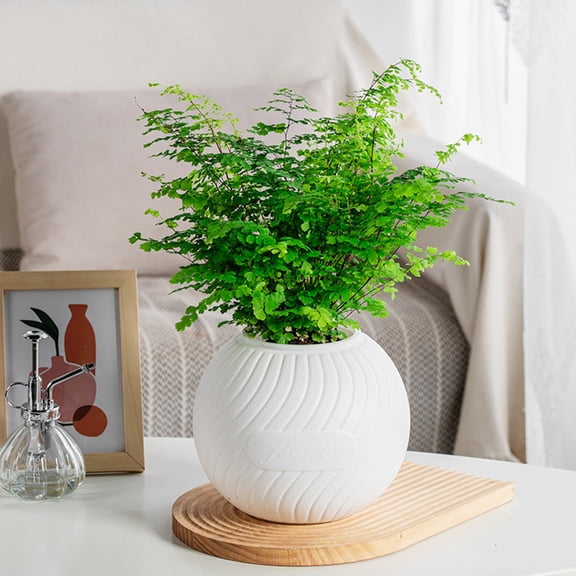 hulanddfd Planter Boxes Outdoor Self-Watering Flower Pot Plastic Resin Hydroponic Round Three-Dimensional Desktop Flower Pot Planting Pots, White
