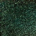 thumbnail image 1 of Sequins Stretch Velvet, 1 of 2