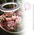 thumbnail image 1 of huntermoon Plant Light Grow Light Led Full Spectrum Plant Light Indoor Household Flower Light Succulent Fill Light Plant Garden Light, 1 of 11