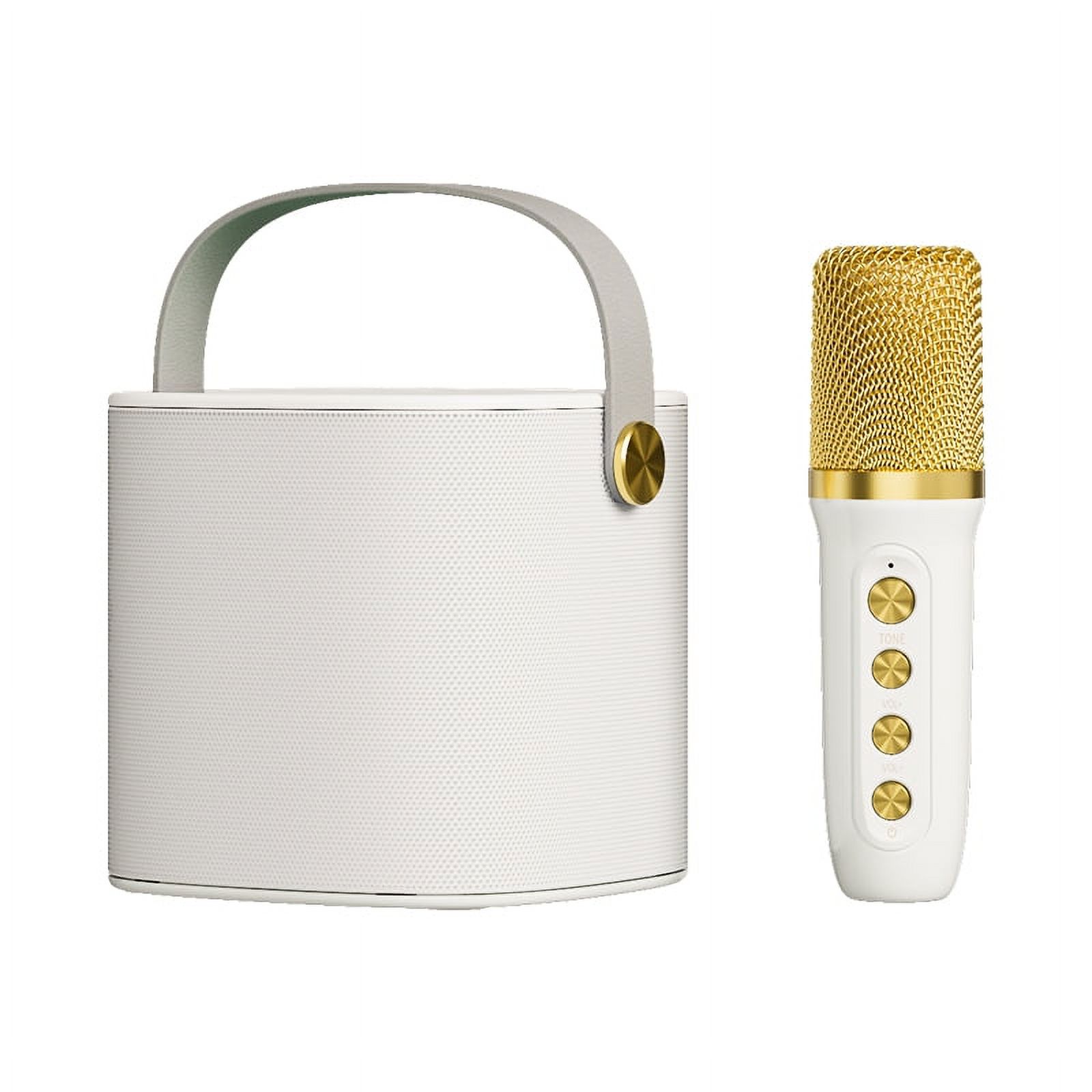 husxh Portable Speaker KTV Set Rechargeable KTV Karaoke Machine Home