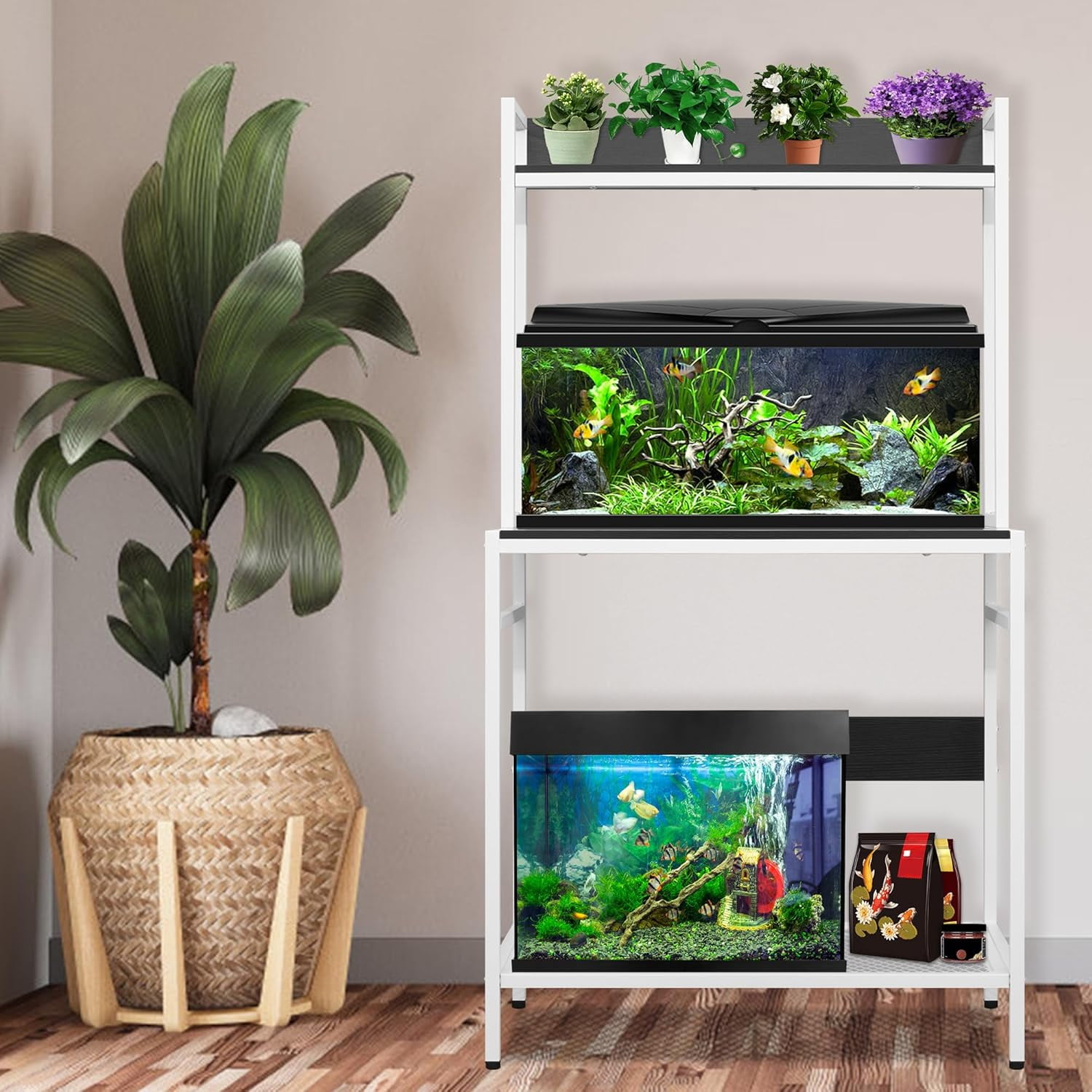 Aquarium 10 Gallon Reptile Shelf Mondazie 30 Gallon Fish Tank