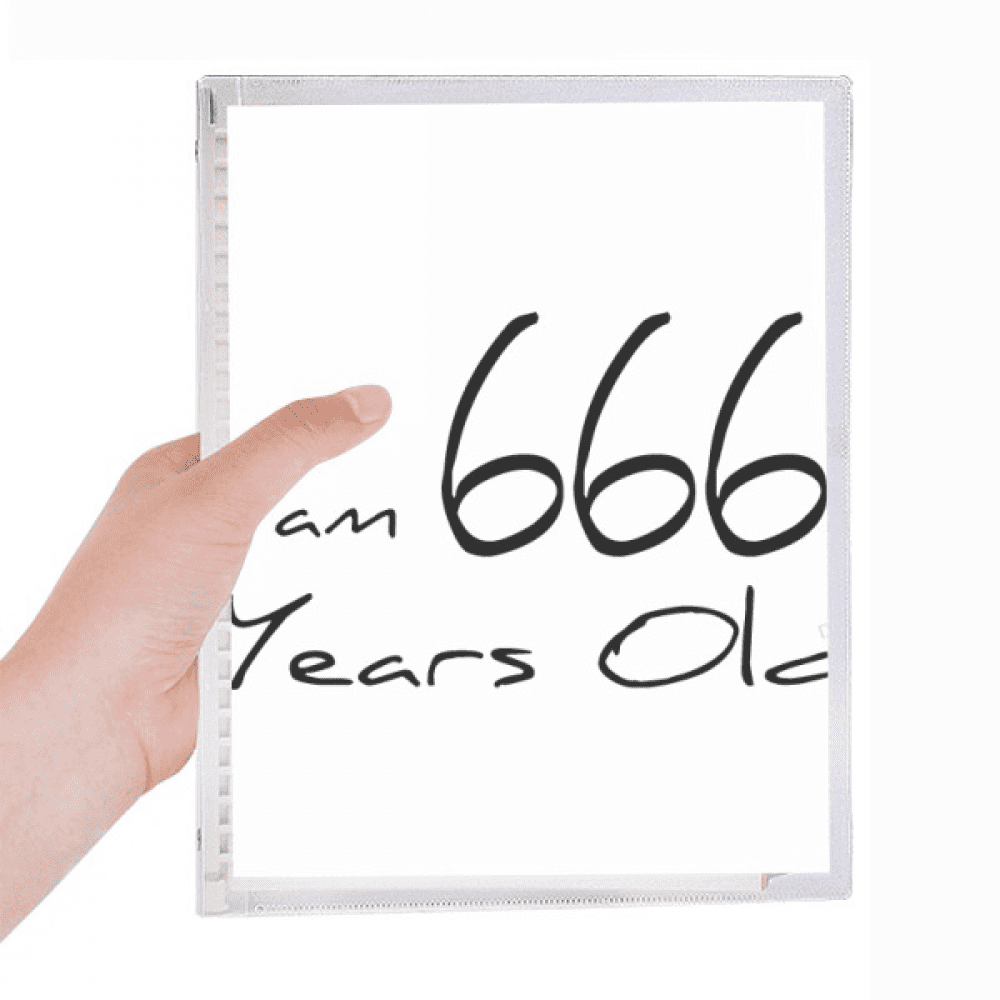 i am 666 years old age elderly notebook loose diary refillable journal ...