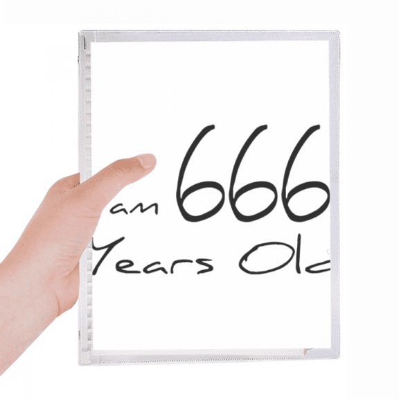 i am 666 years old age elderly notebook loose diary refillable journal statiry