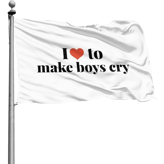 i love to make boys cry Slogan 4x6 Ft Outdoor Banner House Courtyard Garden Decor Flag