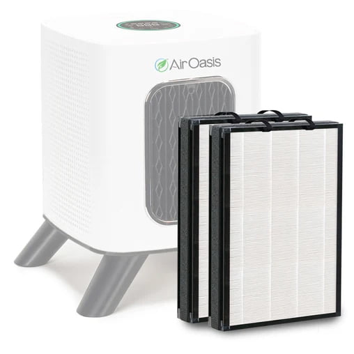 Compact White and Gray Air Purifier with Replacement Filters