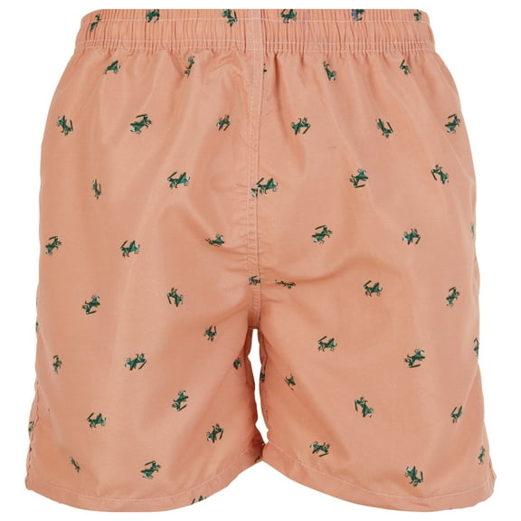 iBerryNY Mens Swimming Trunks, Beach Shorts Swim Suit for Men, 2 Pockets Mesh Lining, Grasshopper, Large