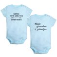 thumbnail image 1 of iDzn Pack of 2, Surprise You're Going to Be Grandparents & Hello Grandpa Grandma Pregnancy Announcement Rompers For Babies, Newborn Baby Unisex Bodysuits, Infant Jumpsuits, Toddler One-Piece Oufits, 1 of 5