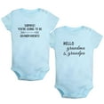 thumbnail image 1 of iDzn Pack of 2, Surprise You're Going to Be Grandparents & Hello Grandpa Grandma Pregnancy Announcement Rompers For Babies, Newborn Baby Unisex Bodysuits, Infant Jumpsuits, Toddler One-Piece Oufits, 1 of 5