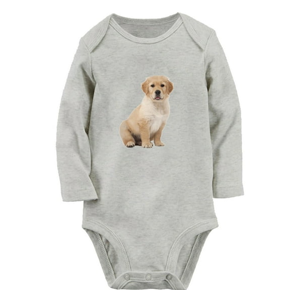 iDzn Today It's Time To Party Funny Rompers, Newborn Baby Unisex Bodysuits, Infant Animal Labrador Graphic Jumpsuits, Toddler Kids Long Sleeve Oufits (Gray, 0-6 Months)