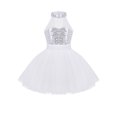 thumbnail image 1 of iEFiEL Girls Sleeveless Mesh Leotard Splice Sequins Ballet Dance Gymnastics Leotard Dress, 1 of 7