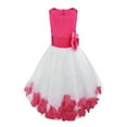 thumbnail image 1 of iEFiEL Girls Wedding Birthday Party Flower Dress Bowknot Tulle Princess Dress, 1 of 6