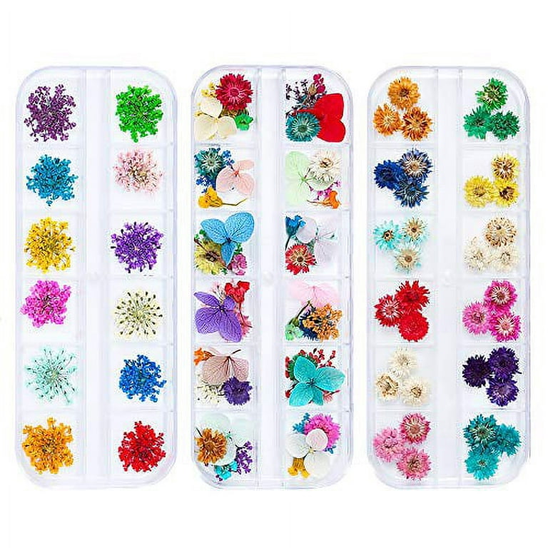 iFancer 108 Pcs Nail Dried Flowers 48 Colors 3D Nail Art Real