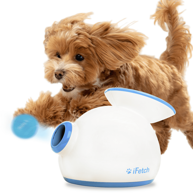 Motorized dog ball new arrivals