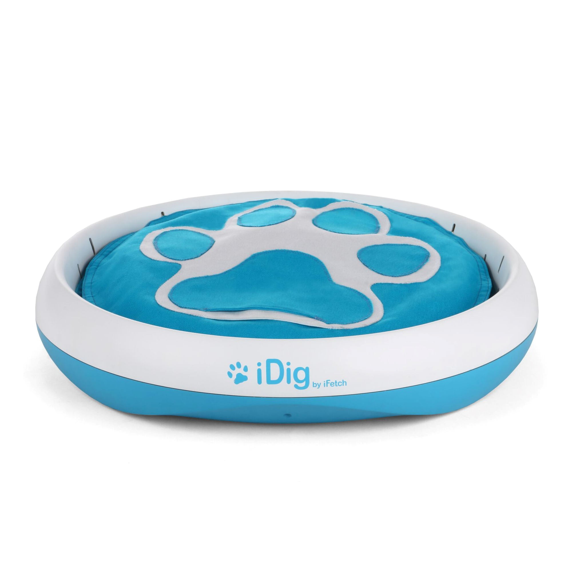 Pet Supplies : iDig Go Digging Toy from iFetch Digging Dog Breeds