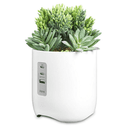 iHome PowerPlant Charging Station, Faux Succulent with USB Charging Station   White iPP45