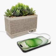 iHome PowerPlant Charging Station with Bluetooth Speaker, Faux Succulent with USB Charging Station iPP60