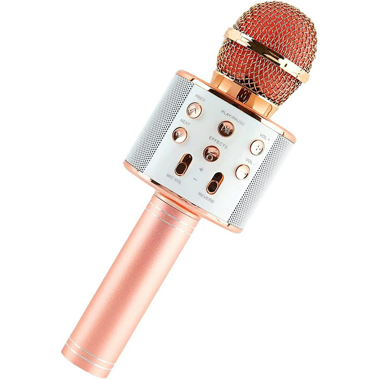 iJOY Karaoke Microphone Portable Wireless Karaoke Machine Speaker with  Recorder Rose Gold 
