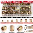 thumbnail image 1 of iMeshbean 300Pcs  Rivet Nuts M3 M4 M5 M6 M8 M10 M12 Flat Head Threaded Binding Rivet Nut Insert Rivnut Nutsert, 1 of 14
