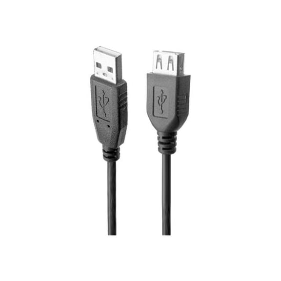 Link Depot USB-10-MF USB2.0 Cable - 4 PIN USB Type A - Male - 4 PIN USB Type A - Female - 10 FEET- USB-10-MF