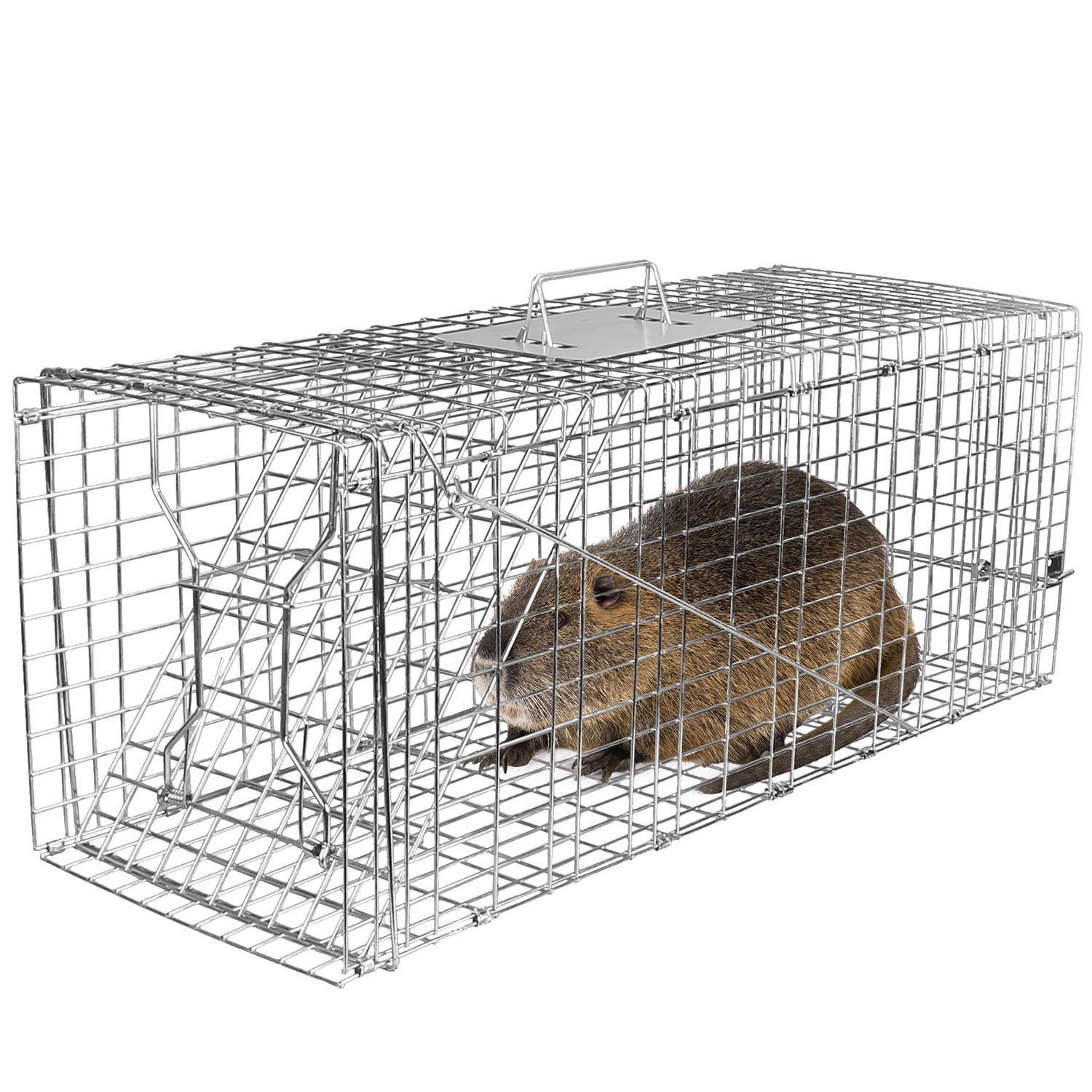 TeqHome 32'' Humane Live Animal Trap Cage Catch Release Live Animal