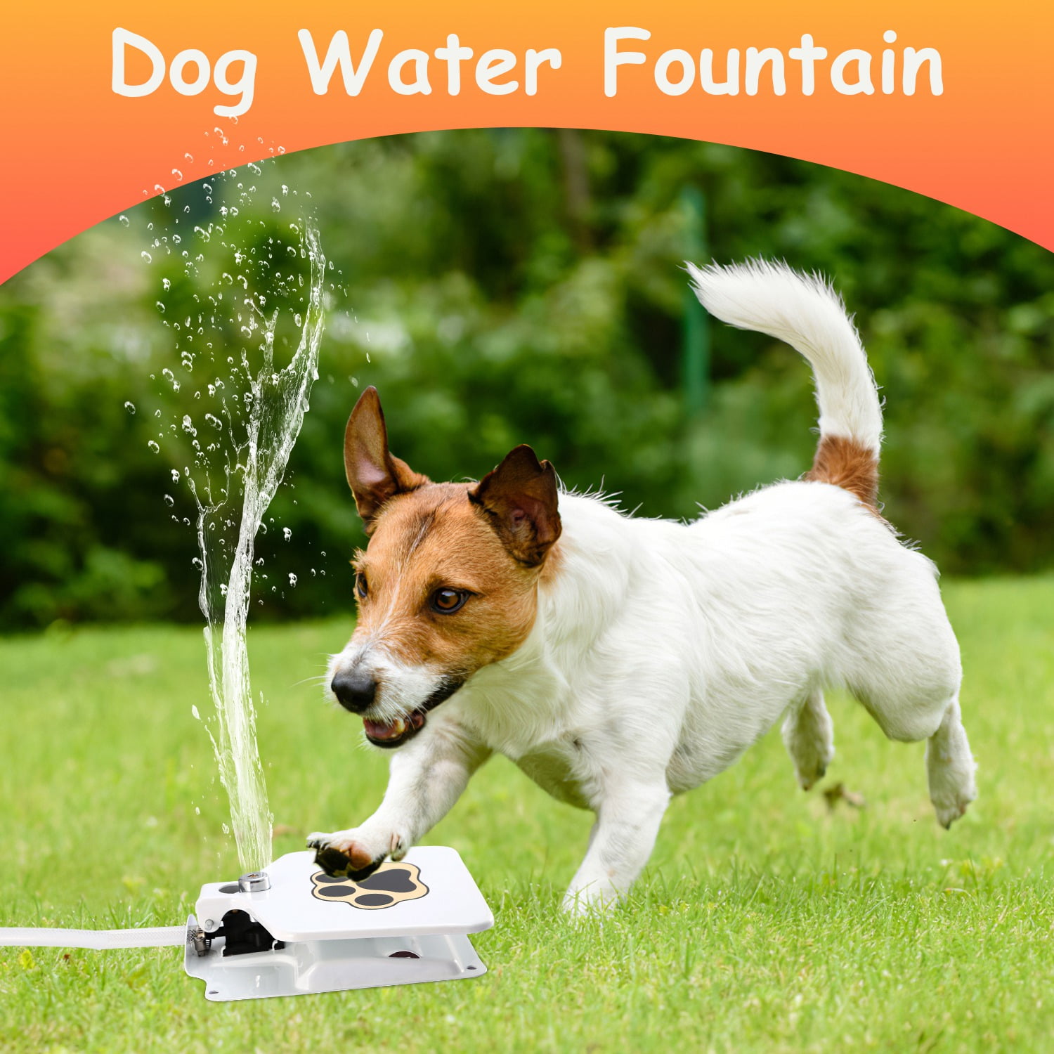 iMounTEK Dog Easy Paw Activated Drinking Water Fountain, Dog Sprinkler
