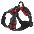 thumbnail image 1 of iMounTEK LED Dog Harness No Pull Rechargeable Light Up Pet Vest Harness, Red, M, 1 of 9