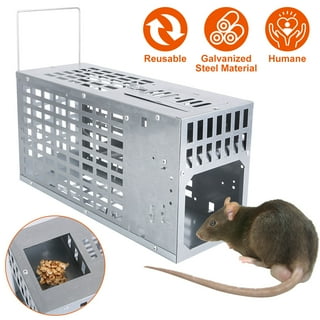 iMounTEK 2pcs Humane Rat Trap Live Mouse Catch Trap Without Hurting Trap for Indoor Outdoor Use, Green