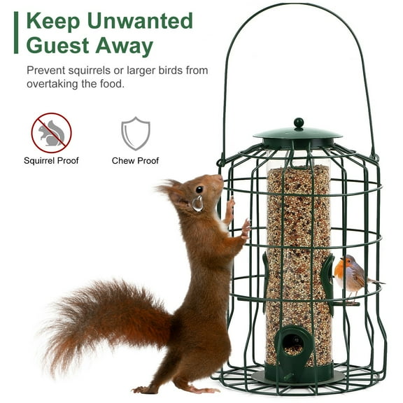 Imountek Outdoor Bird Feeder Cage, Squirrel-Proof Chew-Proof Metal Hanging Wild Bird Feeder with 4 Feeding Ports, Green