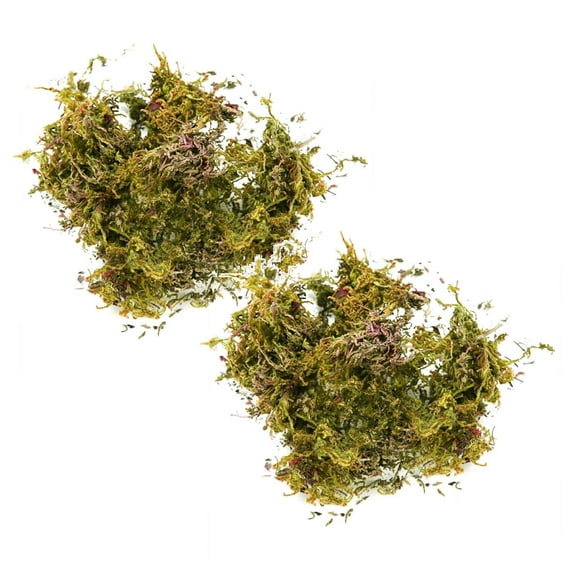 iOPQO 2PCS Artificial flowers Fake Moss Artificial Moss For Potted Plants Greenery Moss Home Decor Fairy Garden Crafts Wedding Decoration Fresh Green desktop decoration A