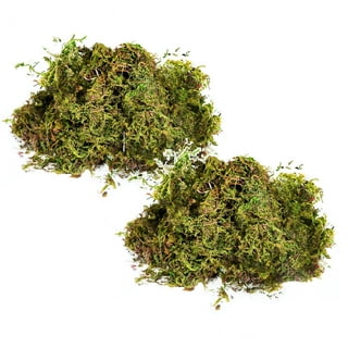 Fake Moss Artificial Moss for Potted Plants Greenery Moss Home Decor Fairy Garden Crafts Wedding Decoration Fresh Green 50g