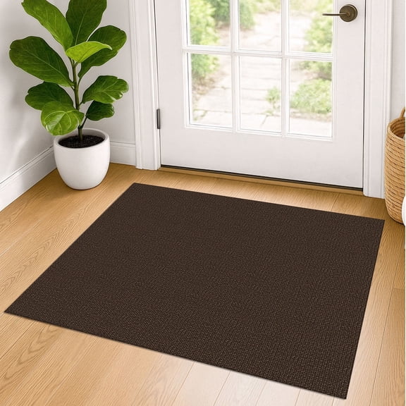 iOhouze Small Rugs 2x3 Non Slip Rugs for Entryway Braided Throw Rugs with Rubber Backing Washable Front Door Mat Cotton Woven Rugs for Kitchen Foyer Front Door, Brown/Coffee
