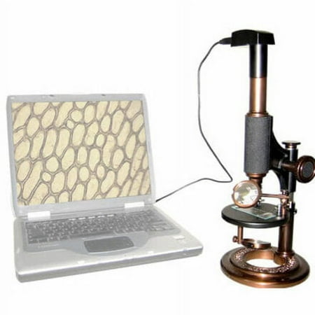 iOptron Electronic Antique Microscope