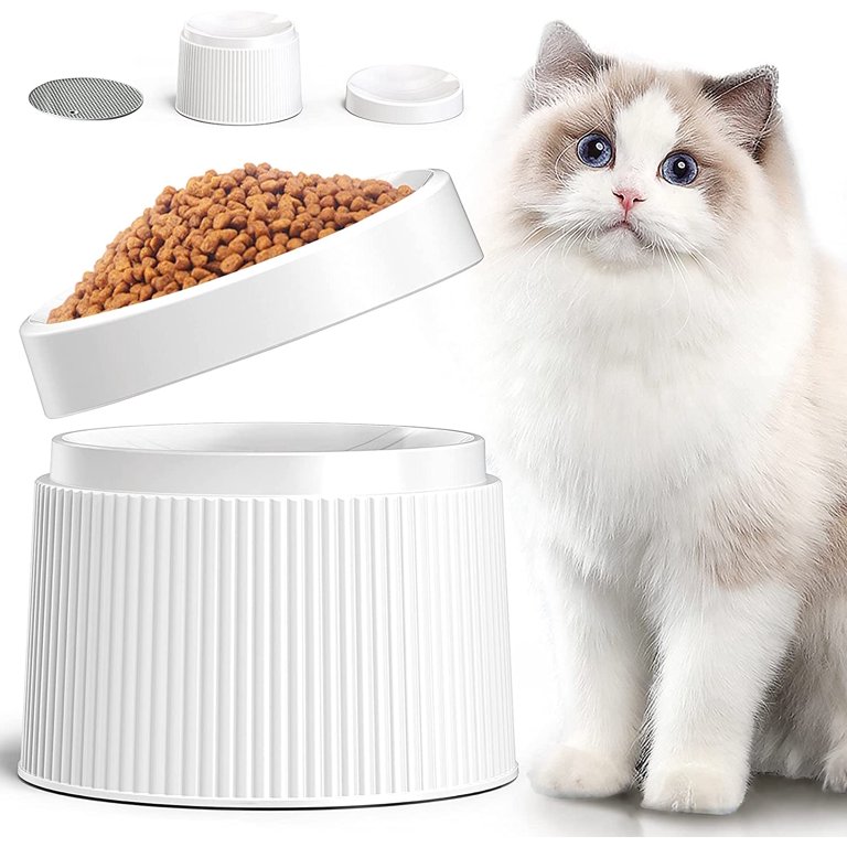 iPettie Elevated Cat Food Bowl Cat Dish Tilted Pet Feeding