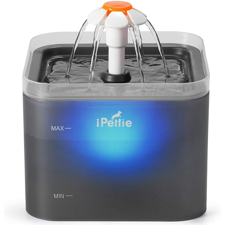 Ipettie water fountain store