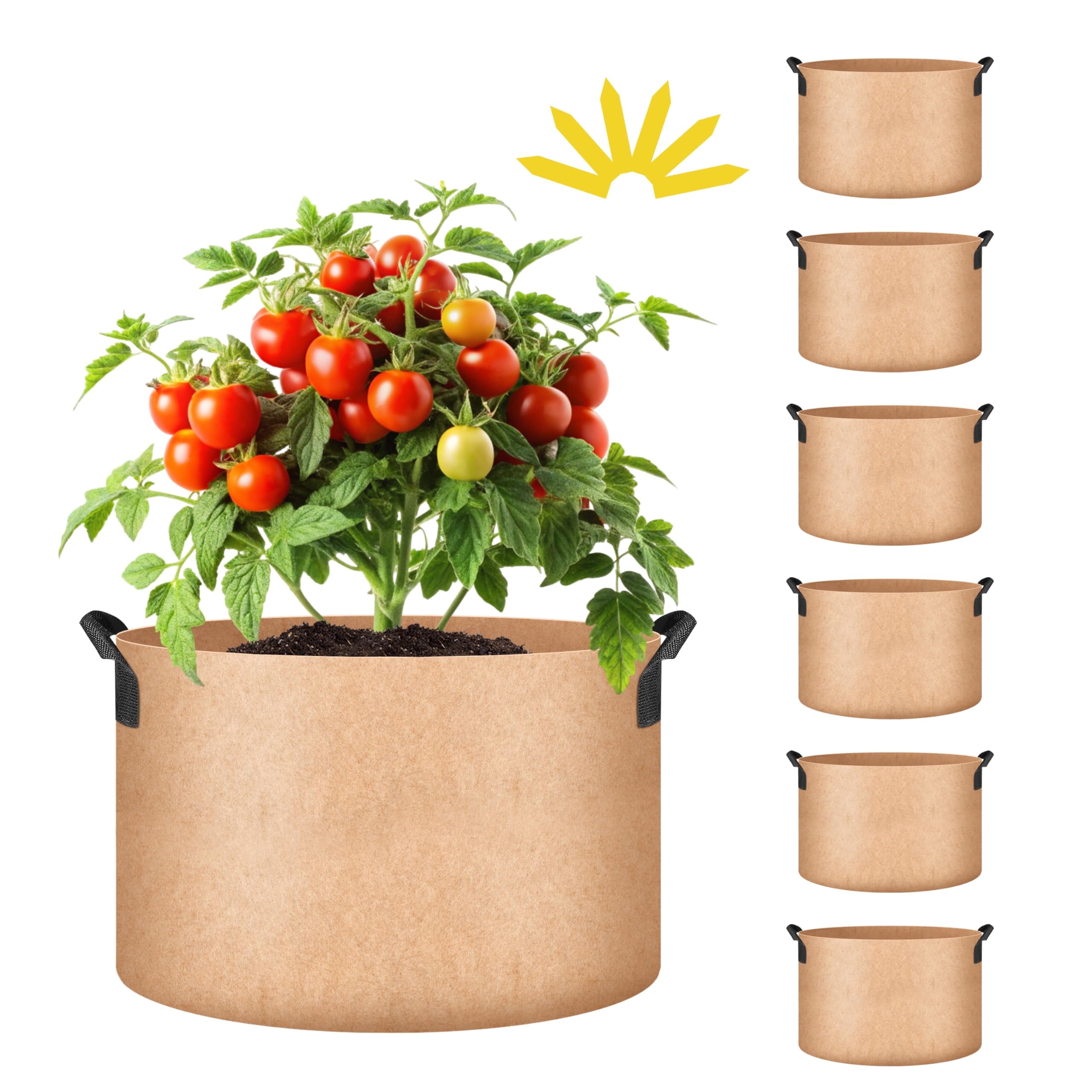 best air purifier indoor plants Buy Best 6 Air Purifying Indoor Plants Pack online from Nurserylive at  lowest price main image 0