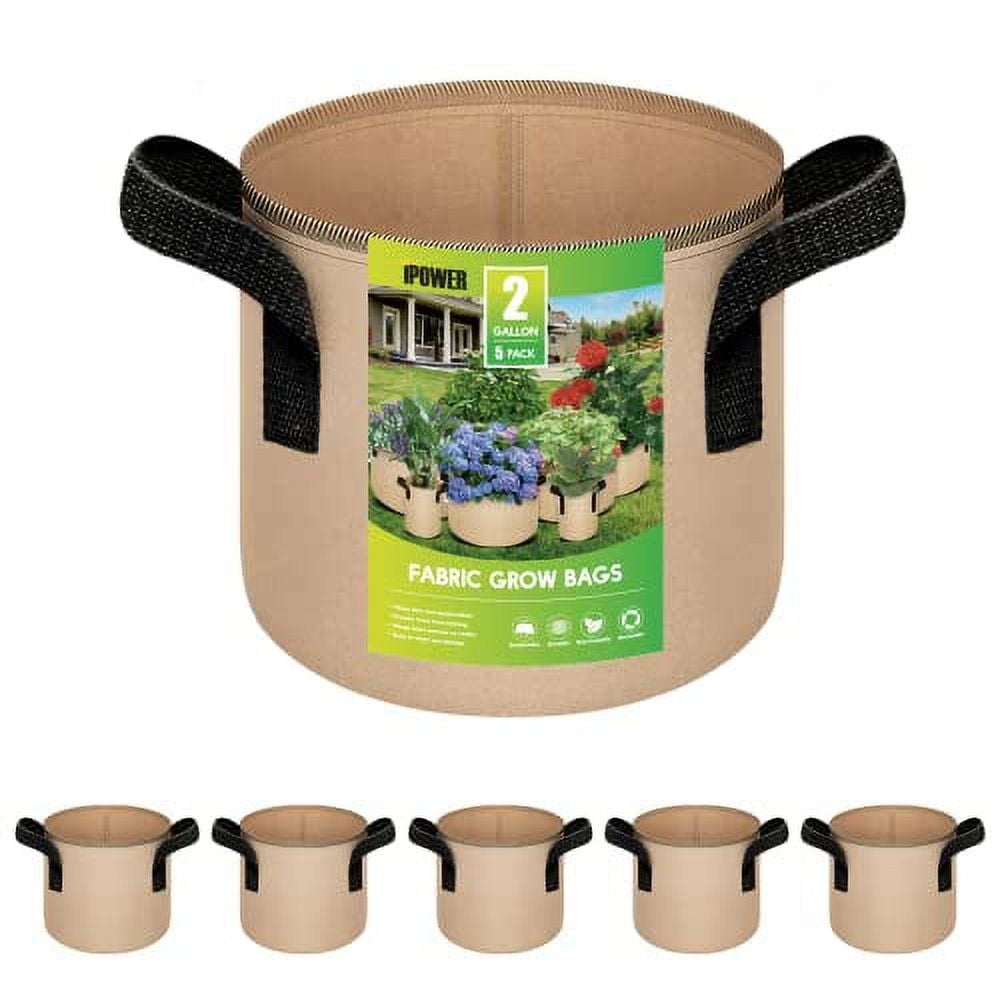 https://i5.walmartimages.com/seo/iPower-GLGROWBAG2X5TAN-5-Pack-2-Gallon-Plant-Grow-Bags-Thickened-Nonwoven-Aeration-Fabric-Pots-Heavy-Duty-Durable-Container-Strap-Handles-Garden-Tan_046fa4df-5a27-4c8f-8c53-f6765237dd26.004ed61938eaf5b281e3d15fcc0b47aa.jpeg