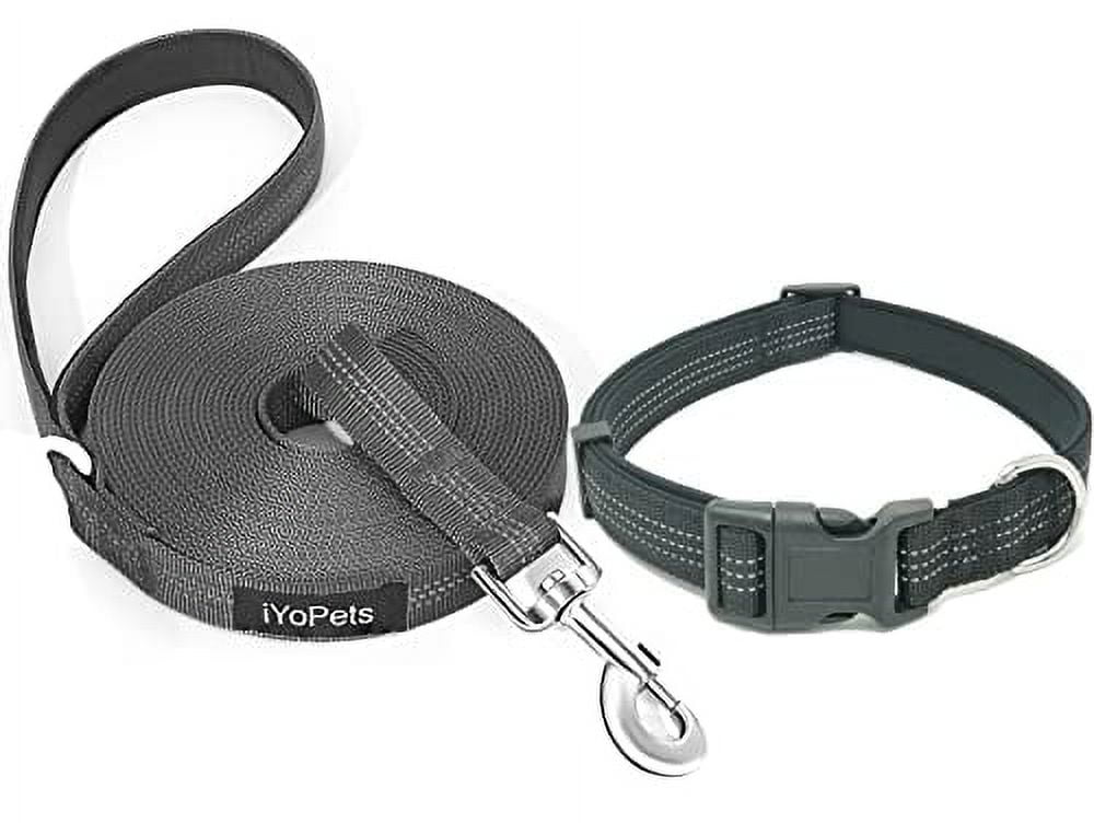 25 ft hotsell dog leash